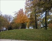 The seasons changes all of the time, from green to red to orange.The lovely shade of orange that this tree possess is perfect and demonstrates the change from summer to autumn.: by college2013, Views[228]