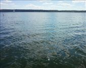 Taking this picture made me feel calm and peaceful. The waves were so serene and beautiful that it could make anyone's problems go away.: by college2013, Views[228]