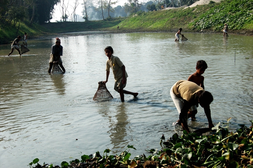 People during community fishing here in Majuli.Majuli Island is one of the majestic places to visit in Assam. Majuli Island is nearly 200km away from Guwahati. Every year thousands of tourists come here to spend a few peaceful days. You can experience the lifestyle of the local tribes there. Mishing, Assamese and Deuri are the local inhabitants of this place. They are helpful and charming. Nearly 23 villages are there and ferry service is the only mode of transport to communicate with the outside world. Life is not easy but the people believe in living life. Every year they face various moods of the river Brahmaputra and they never lose their hope. 