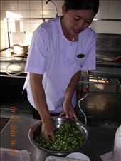 Chopped spring onions...: by combatwombat, Views[308]