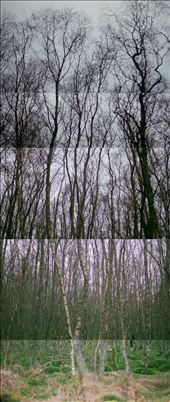 by con261190, Views[160]