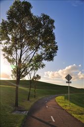Life's a journey. And in this journey, there's no going back. 

Sydney Olympic Park: by concernthinker, Views[241]