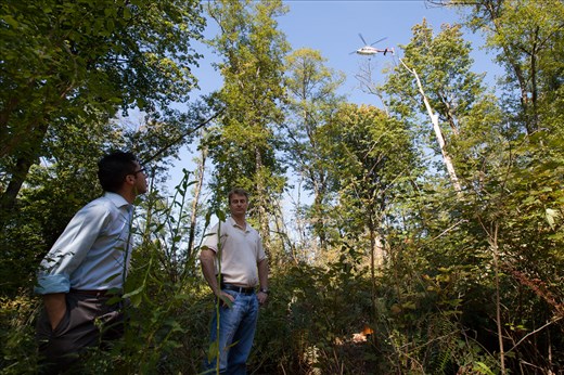 Towards the end of August 2014, Kinder Morgan Energy illegally cut down 13 Red Alders in the Burnaby Mountain Conservation Area, in my hometown of Burnaby, British Columbia, Canada. They did this to drill a bore hole, so that they could do surveys to expand the Trans Mountain Pipeline, right through Burnaby Mountain. In this image, two Kinder Morgan employees are standing in the clearing as their company helicopter flies above. 