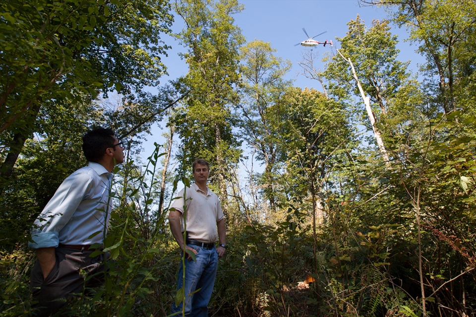 Towards the end of August 2014, Kinder Morgan Energy illegally cut down 13 Red Alders in the Burnaby Mountain Conservation Area, in my hometown of Burnaby, British Columbia, Canada. They did this to drill a bore hole, so that they could do surveys to expand the Trans Mountain Pipeline, right through Burnaby Mountain. In this image, two Kinder Morgan employees are standing in the clearing as their company helicopter flies above. 