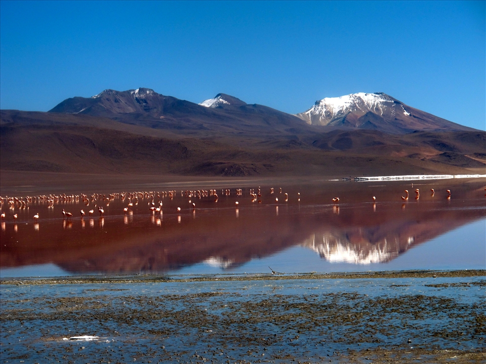 Red Lagoon; locals hold it gets it's colour from the flamingos that frequent it.