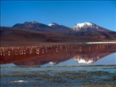 Red Lagoon; locals hold it gets it's colour from the flamingos that frequent it.: by conorobryan, Views[328]