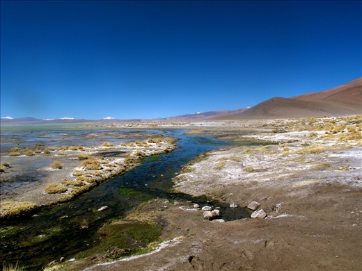 Green Lagoon; so named for its ability to retain the moss at 4000m.