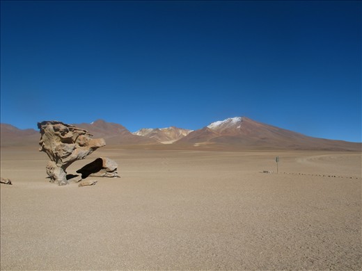 Árbol de piedra; lit. 'Tree of rock', offering isolated shade on the alitplano.