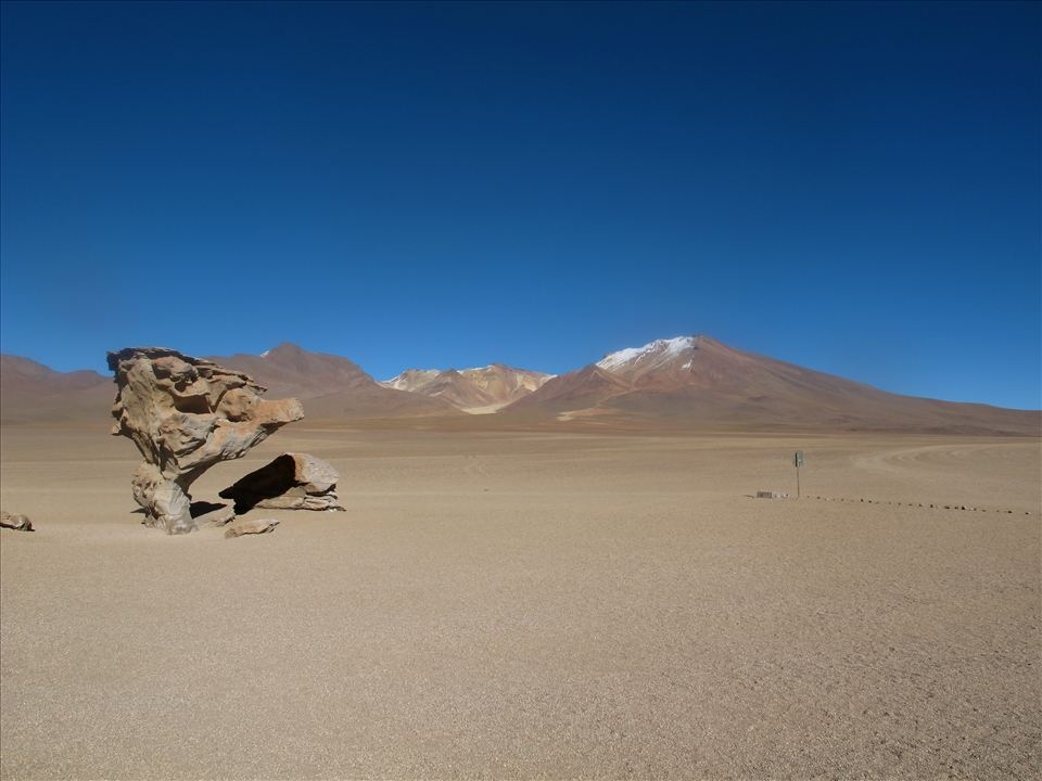 Árbol de piedra; lit. 'Tree of rock', offering isolated shade on the alitplano.