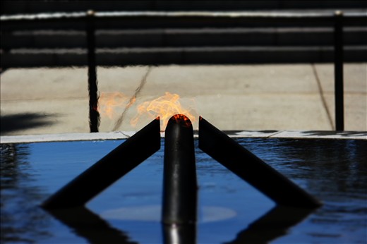 Remembering our fighters 