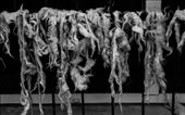 But when you come out from city center life becomes real, old traditions remain and something grows.: by contest2014, Views[383]