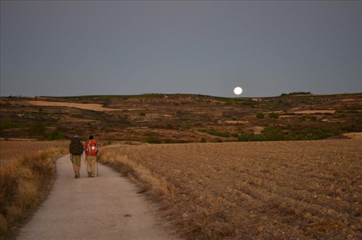 The daily routine, walk for 20-25km, soak in scenic views & share a walk or two.