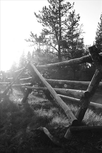 At the end of the day, the simplest things can have the greatest impact.  The sunlight shining over the fence shows how wondrous the park actually is.  Though the fence is man-made, it keeps the natural feel of the park by using native materials. It’s the simple things in life that can make you feel right at home.