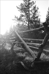 At the end of the day, the simplest things can have the greatest impact.  The sunlight shining over the fence shows how wondrous the park actually is.  Though the fence is man-made, it keeps the natural feel of the park by using native materials. It’s the simple things in life that can make you feel right at home.: by coopcaptures, Views[291]