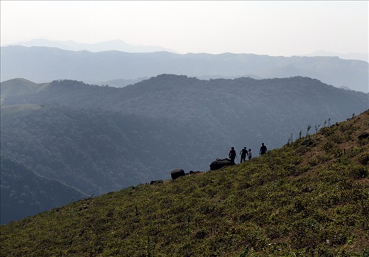 Hill Top  Coorg