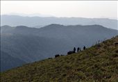 Hill Top  Coorg: by coorg, Views[158]