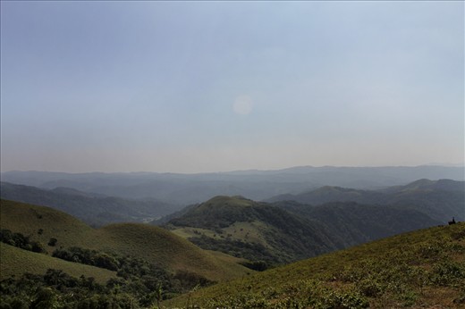 Hill Top  Coorg