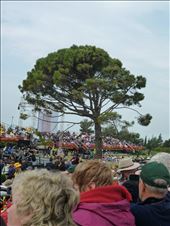 by copperowl, Views[377]