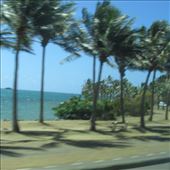 by copperowl, Views[346]