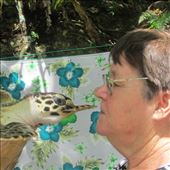 by copperowl, Views[275]