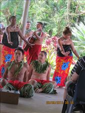 by copperowl, Views[349]