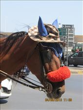 Sicily: by copperowl, Views[348]