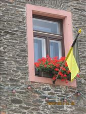 by copperowl, Views[337]