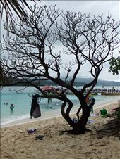 Mystery Island: by copperowl, Views[308]