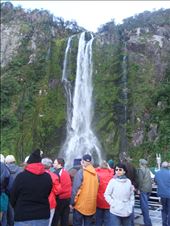 by copperowl, Views[293]