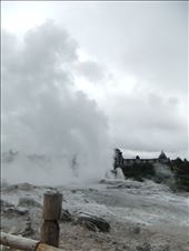 by copperowl, Views[285]