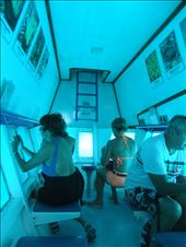 by copperowl, Views[313]