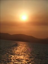 by copperowl, Views[325]