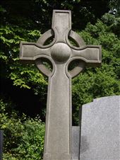 by copperowl, Views[223]