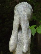 by copperowl, Views[235]