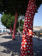 by copperowl, Views[235]