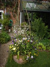 by copperowl, Views[315]