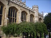 Cambridge University: by copperowl, Views[337]