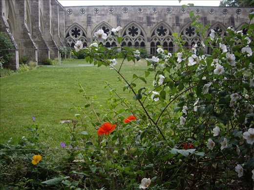 Cloisters, Salisbury Cathedral