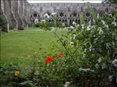 Cloisters, Salisbury Cathedral: by copperowl, Views[178]