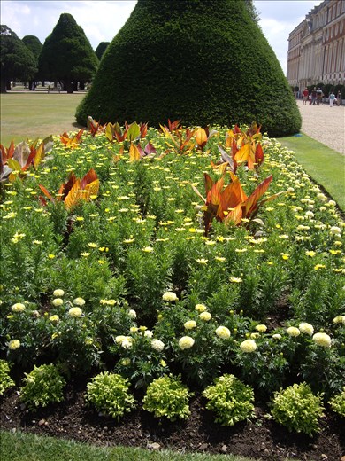Hampton Court Palace. Garden