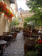 by copperowl, Views[315]