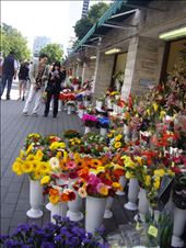 by copperowl, Views[241]