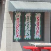 by copperowl, Views[311]