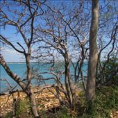 by copperowl, Views[250]