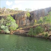 by copperowl, Views[235]