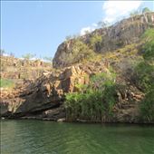 by copperowl, Views[237]