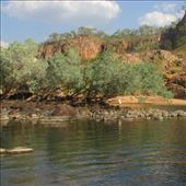 by copperowl, Views[294]