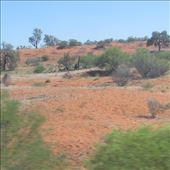 by copperowl, Views[311]