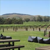 by copperowl, Views[327]