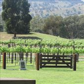 by copperowl, Views[275]